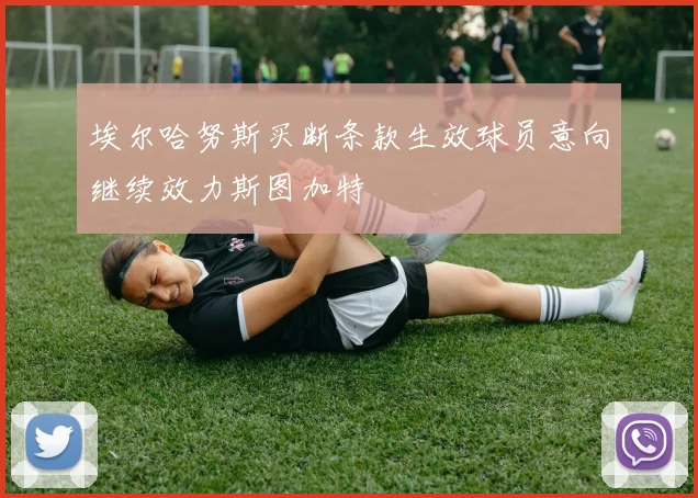 埃尔哈努斯买断条款生效球员意向继续效力斯图加特