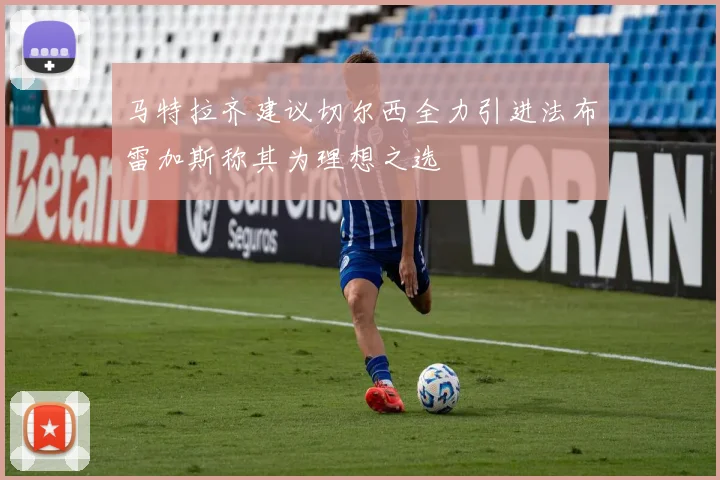 马特拉齐建议切尔西全力引进法布雷加斯称其为理想之选